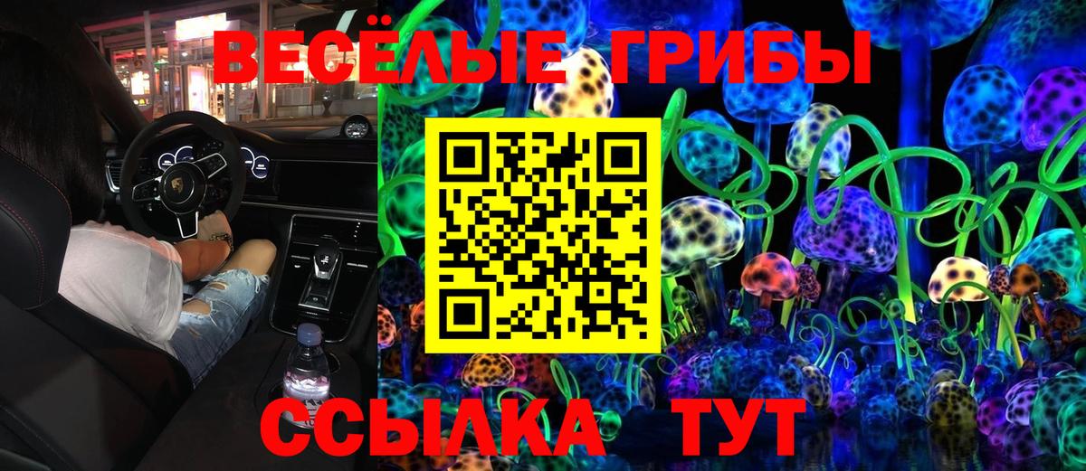 Псков  Псилоцибиновые грибы прущие грибы  Псилоцибиновые грибы Cubensis  Вход с VPN 
